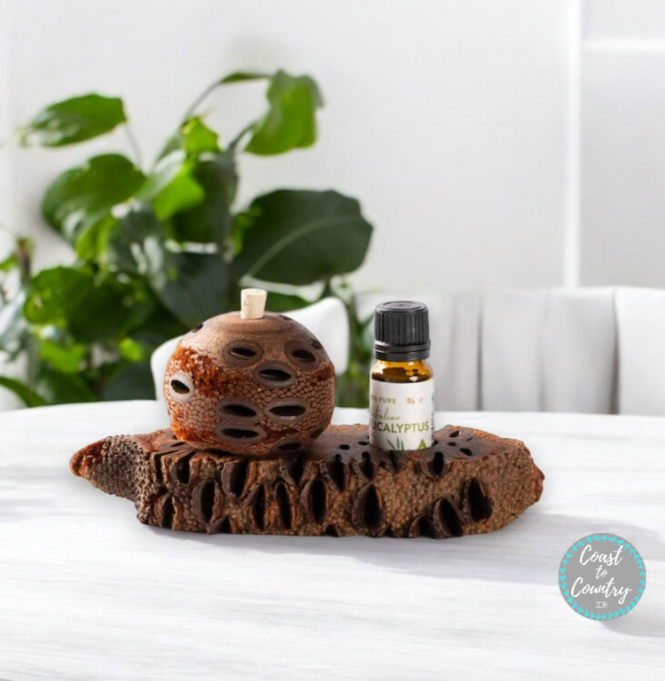 Coast to Country Scent Pod aromatherapy diffuser