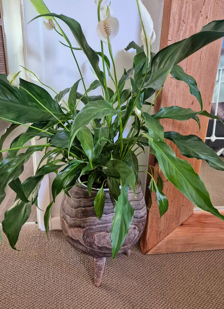 Wooden Planter Lg handcrafted on legs