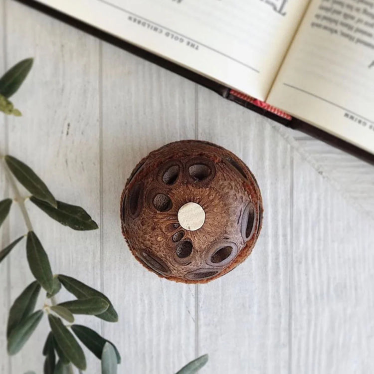 Coast to Country Scent Pod aromatherapy diffuser