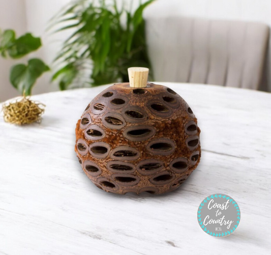 Coast to Country Scent Pod aromatherapy diffuser