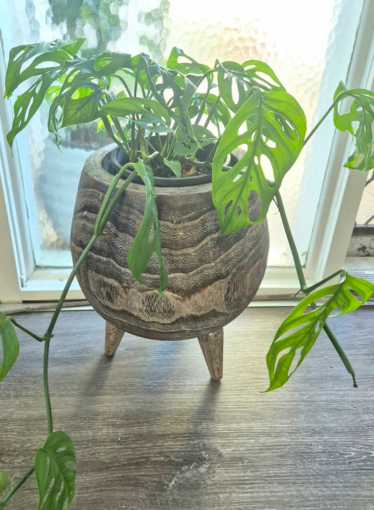 Wooden Planter Lg handcrafted on legs