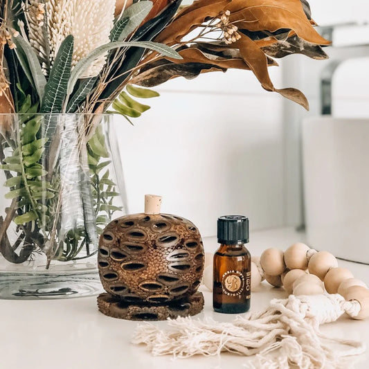 Coast to Country Scent Pod aromatherapy diffuser