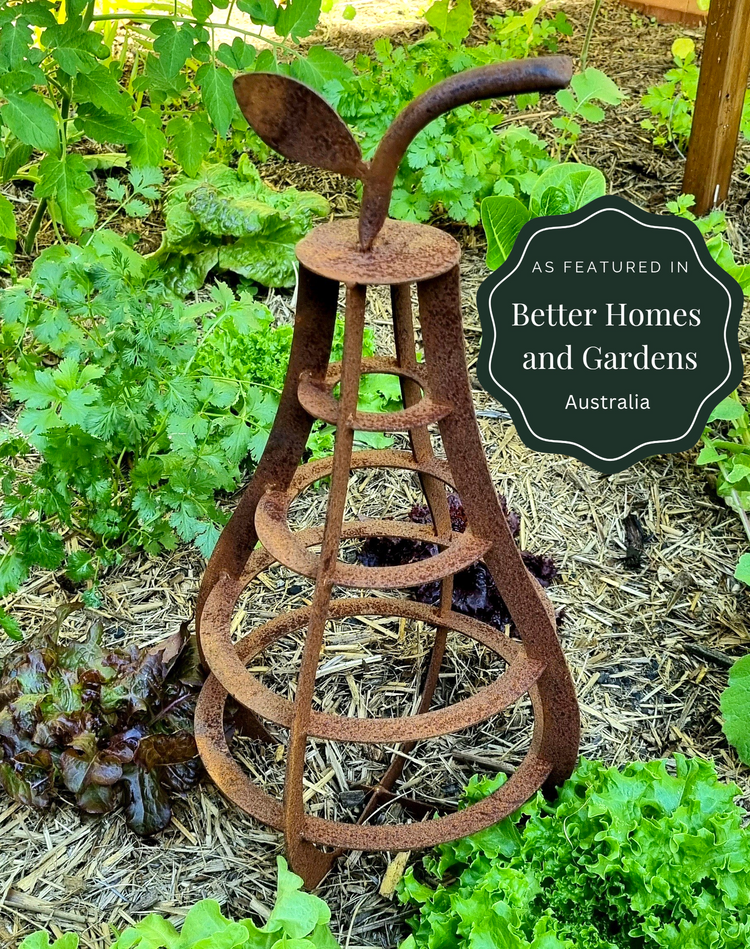 Coast to Country Decor Rusty Apple Pear Garden Art Ornament Sculptures 30/45cm