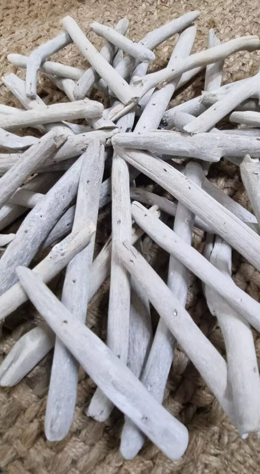 Coastal Natural Driftwood Wall Art
