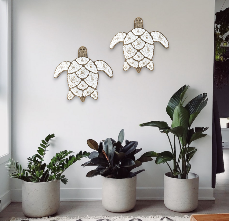 Hamptons Coastal White Shell Sea Turtle Wall Art