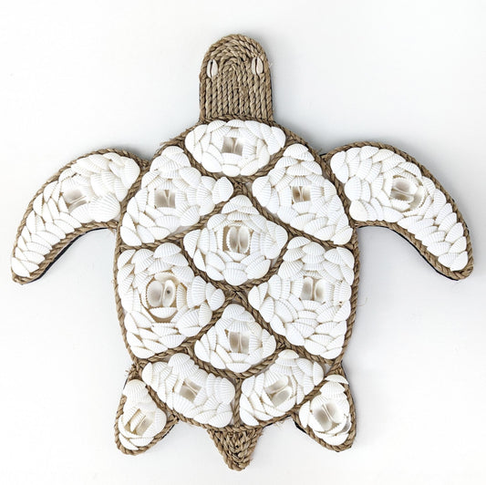 Hamptons Coastal White Shell Sea Turtle Wall Art